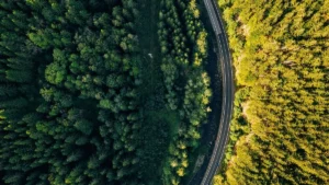 Autostrada A4 przez Śląsk - węzły, opłaty i najważniejsze zjazdy