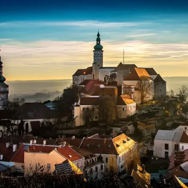 Palmiarnia w Gliwicach - godziny, bilety i dojazd