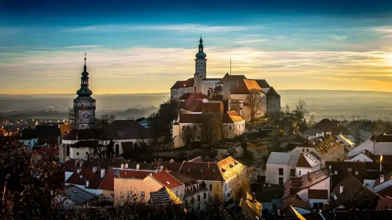 Palmiarnia w Gliwicach - godziny, bilety i dojazd